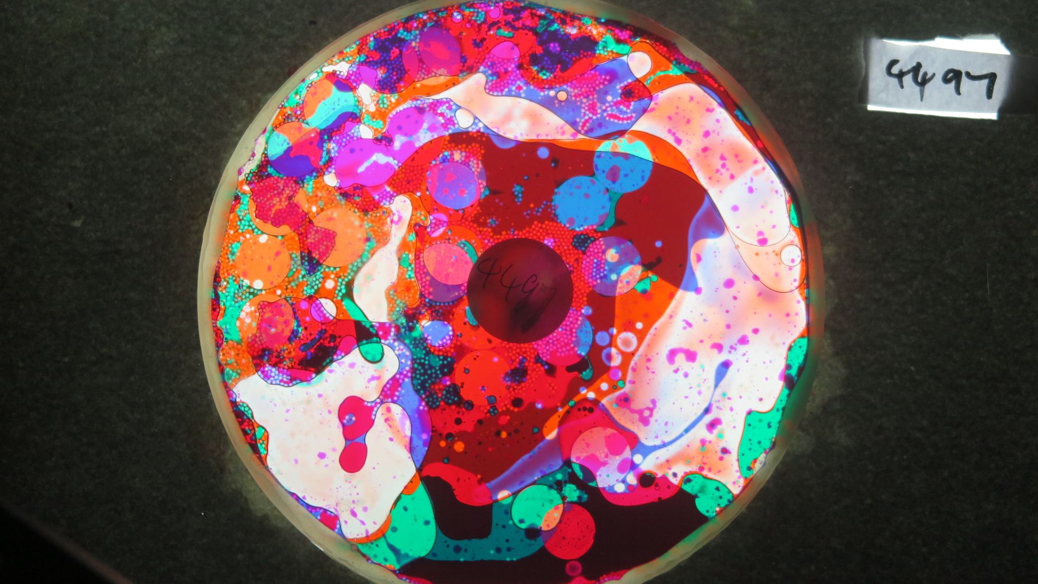 BV4497 bubble vision oil wheel